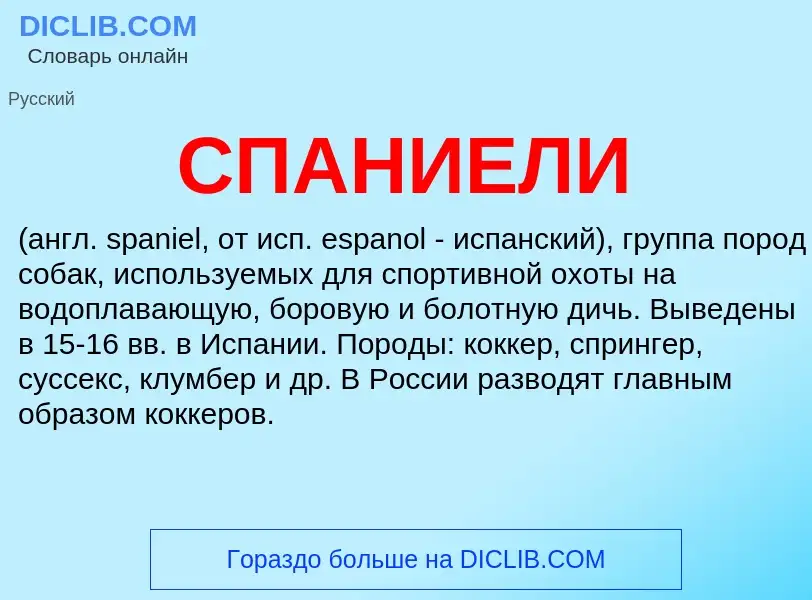 Wat is СПАНИЕЛИ - definition