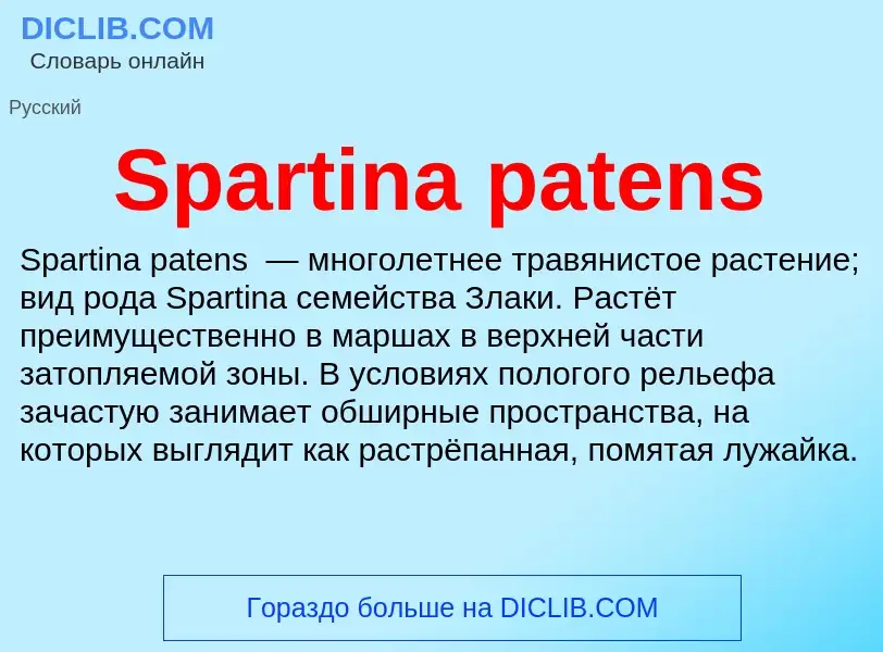 Che cos'è Spartina patens - definizione