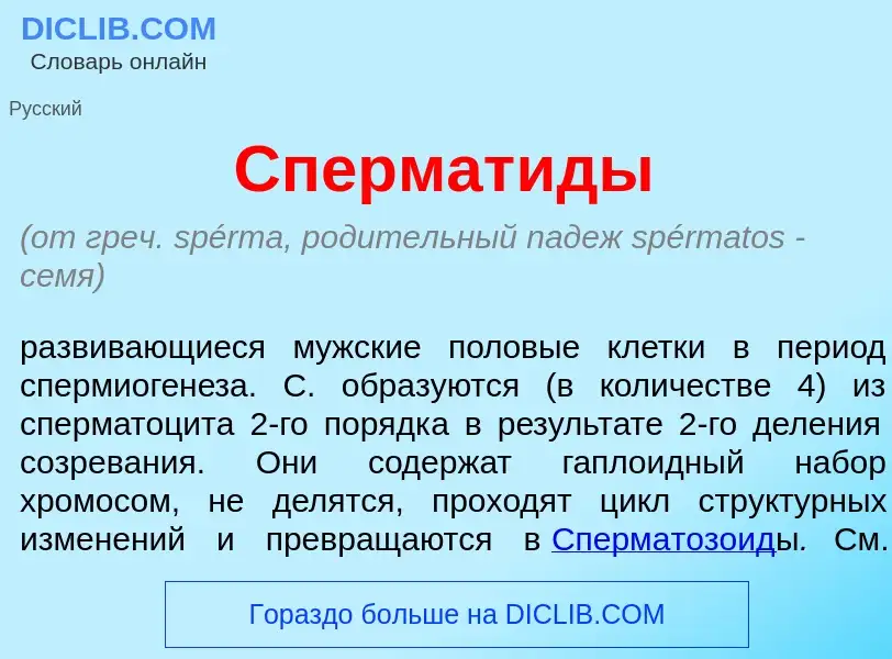 What is Спермат<font color="red">и</font>ды - meaning and definition