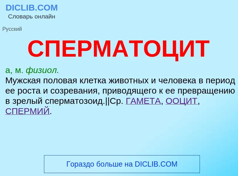 What is СПЕРМАТОЦИТ - definition