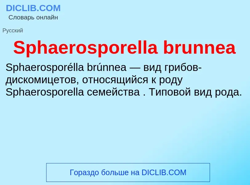 Che cos'è Sphaerosporella brunnea - definizione