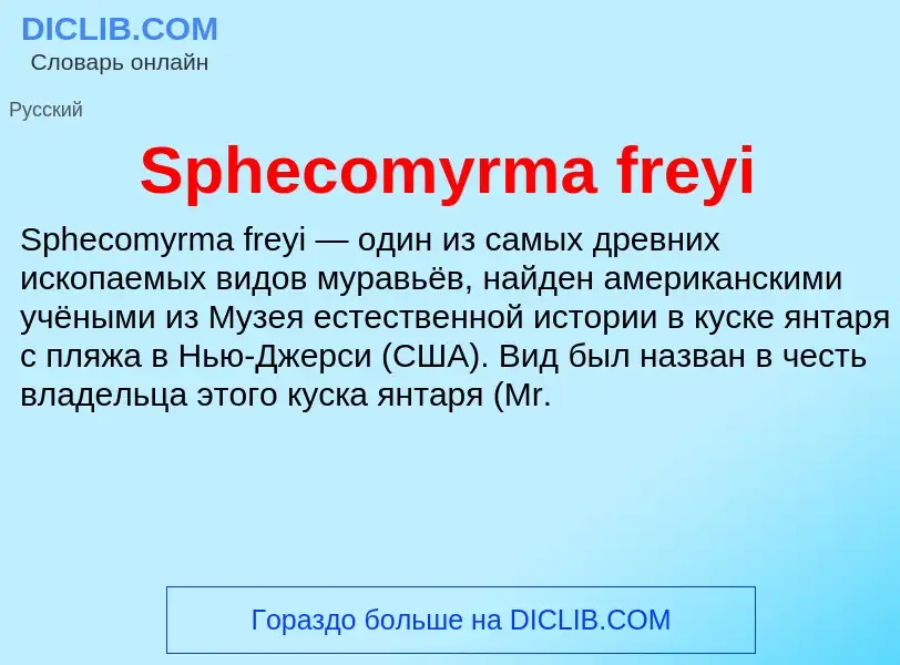 Che cos'è Sphecomyrma freyi - definizione