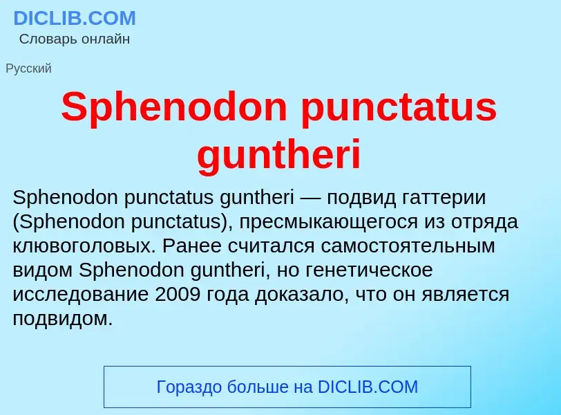 Che cos'è Sphenodon punctatus guntheri - definizione