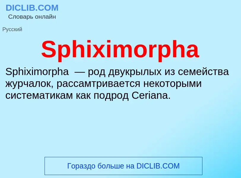 Che cos'è Sphiximorpha - definizione