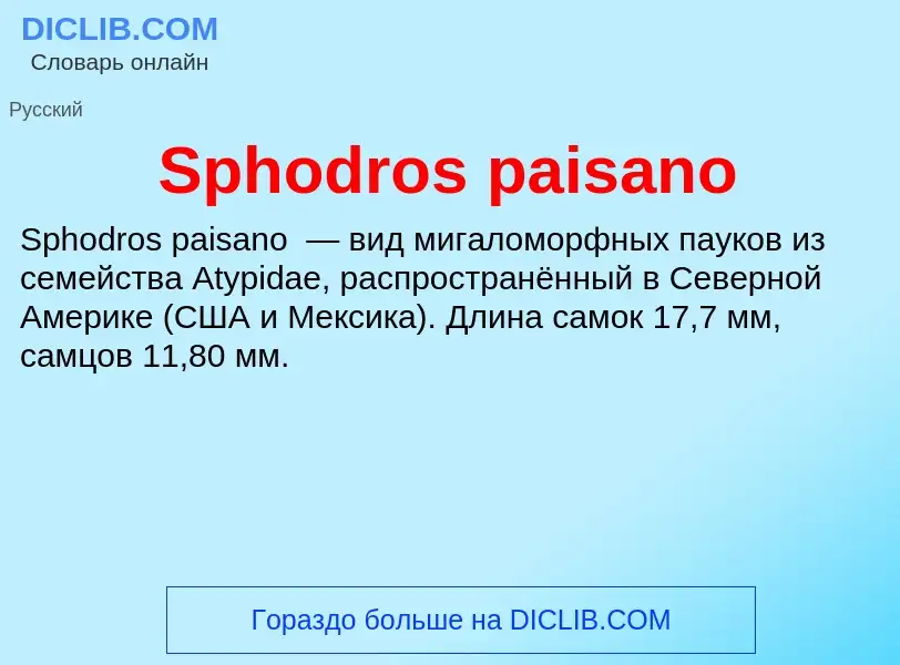 Che cos'è Sphodros paisano - definizione