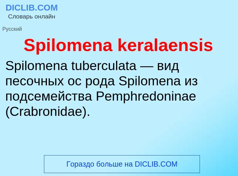 Che cos'è Spilomena keralaensis - definizione