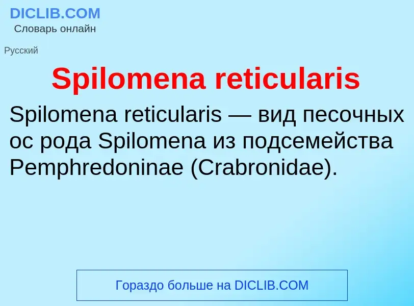 Che cos'è Spilomena reticularis - definizione