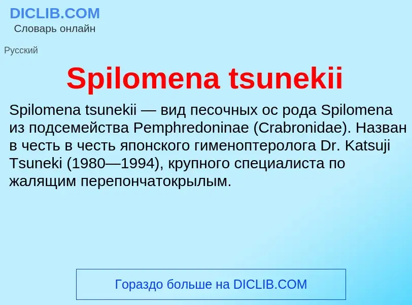 Che cos'è Spilomena tsunekii - definizione