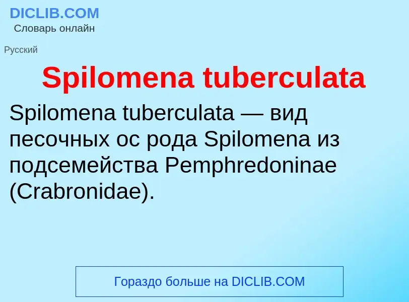 Che cos'è Spilomena tuberculata - definizione