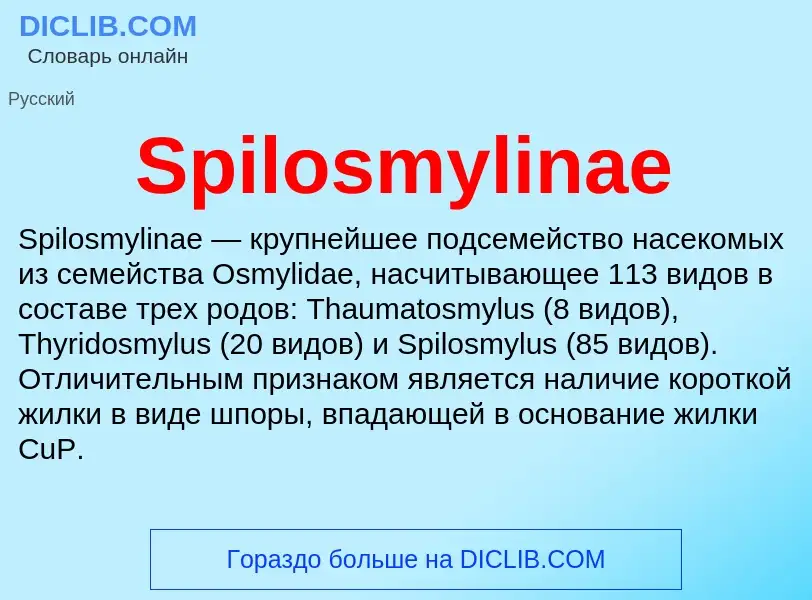 Che cos'è Spilosmylinae - definizione