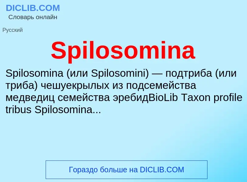 Che cos'è Spilosomina - definizione