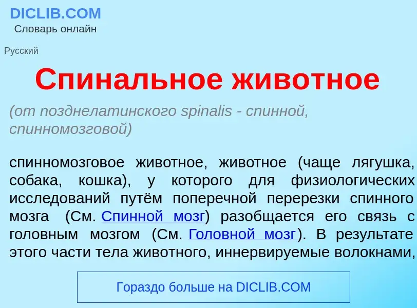 Che cos'è Спин<font color="red">а</font>льное жив<font color="red">о</font>тное - definizione