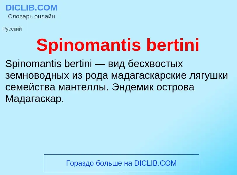 Che cos'è Spinomantis bertini - definizione