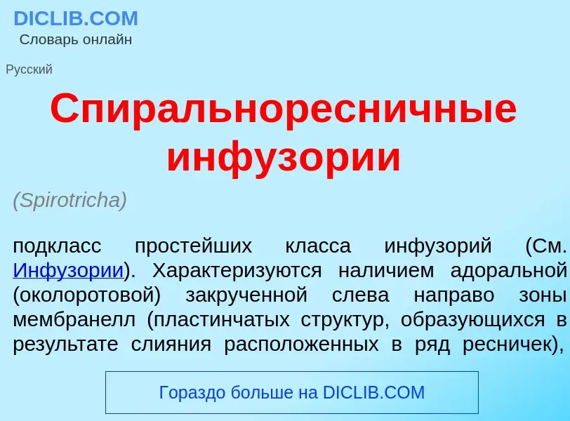 Wat is Спиральноресн<font color="red">и</font>чные инфуз<font color="red">о</font>рии - definition