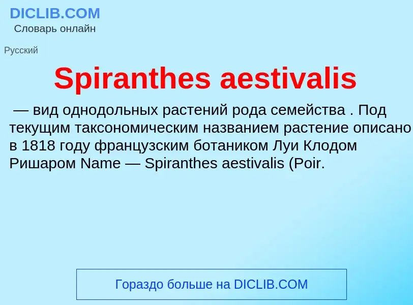 Che cos'è Spiranthes aestivalis - definizione