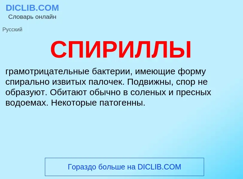 What is СПИРИЛЛЫ - definition