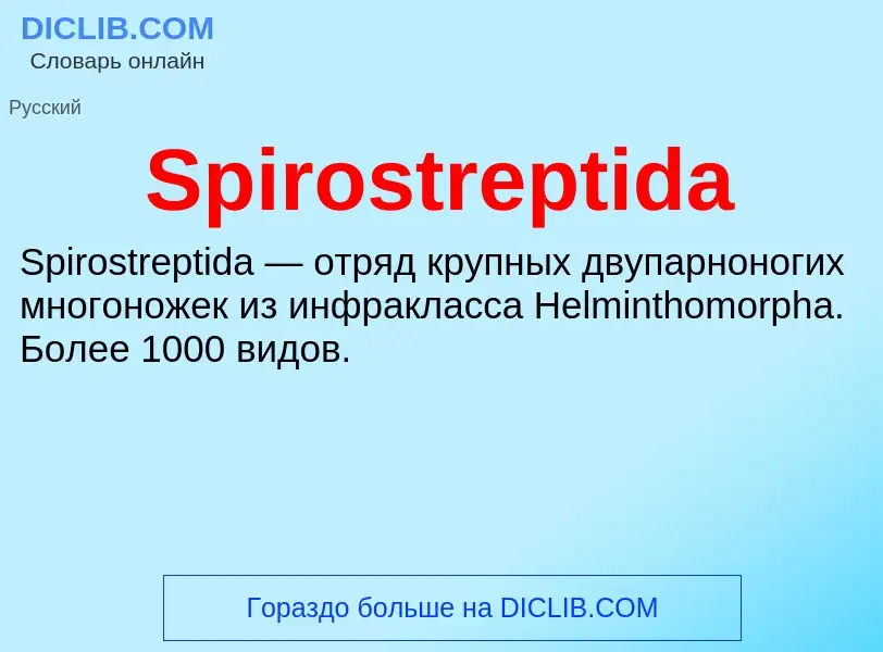 Che cos'è Spirostreptida - definizione