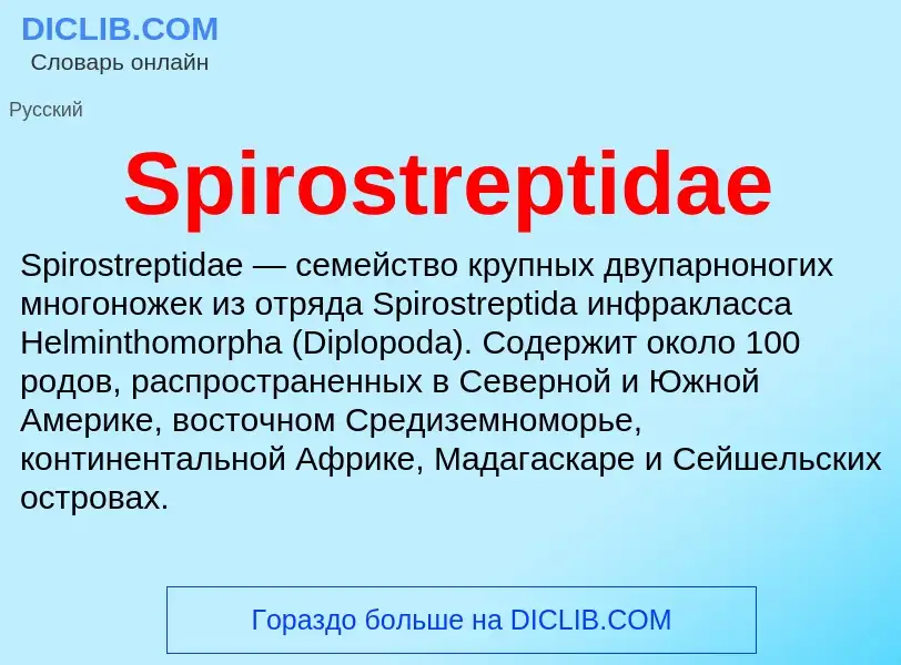 Che cos'è Spirostreptidae - definizione