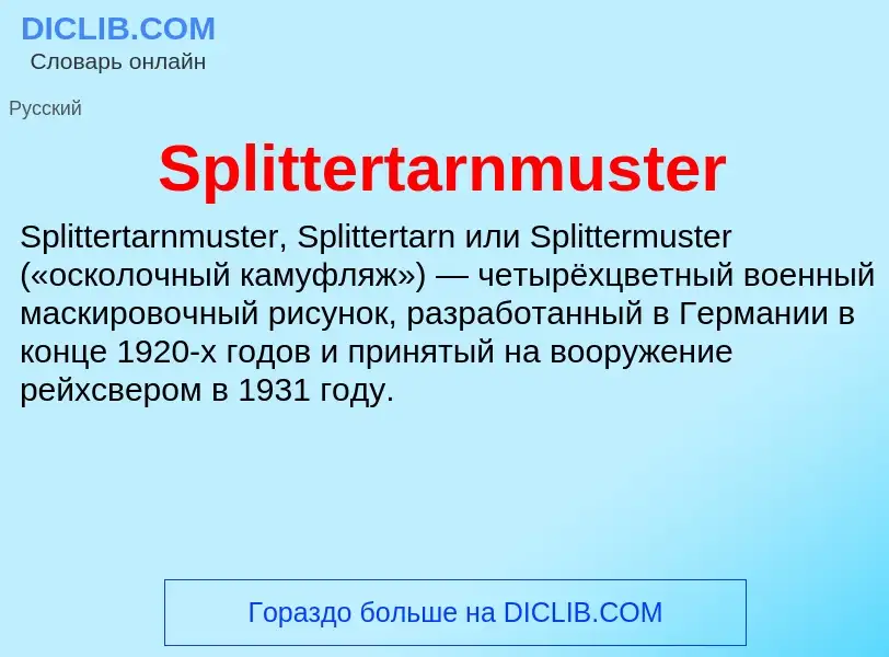 Che cos'è Splittertarnmuster - definizione