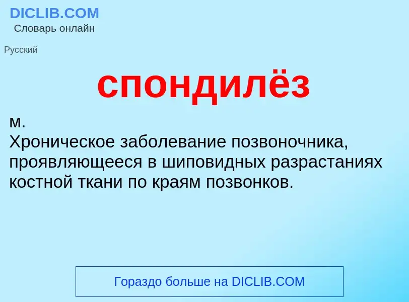 ¿Qué es спондилёз? - significado y definición