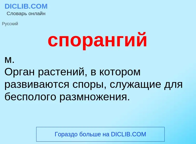 What is спорангий - definition