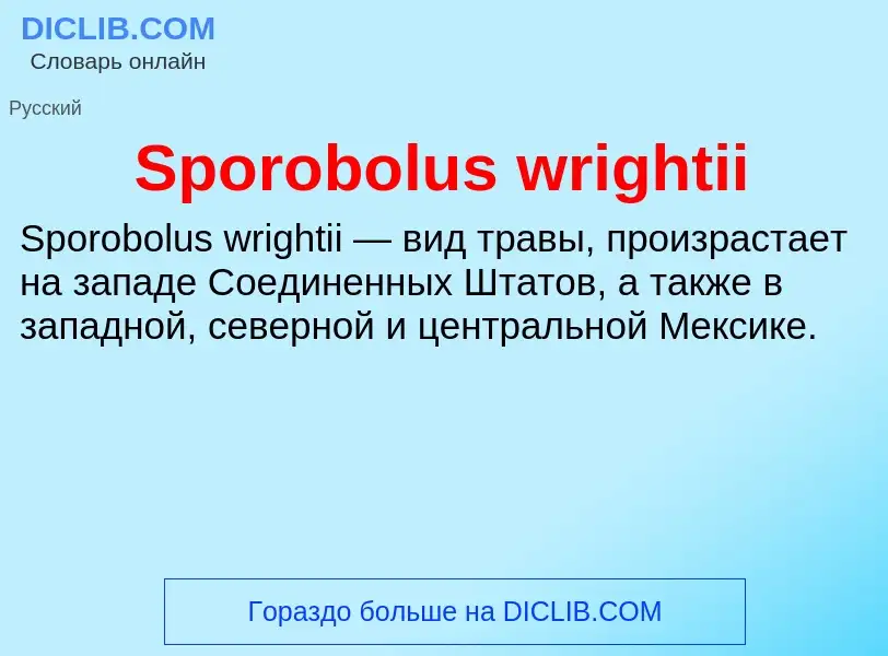 Che cos'è Sporobolus wrightii - definizione