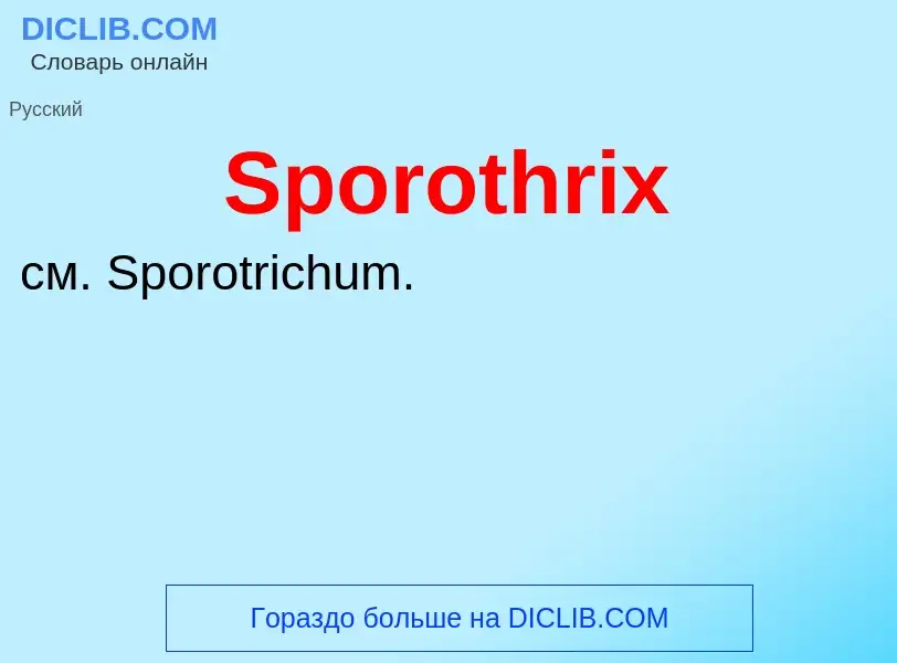 Che cos'è Sporothrix - definizione