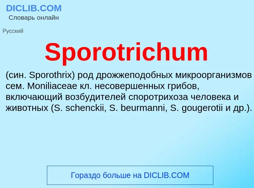 Che cos'è Sporotrichum  - definizione