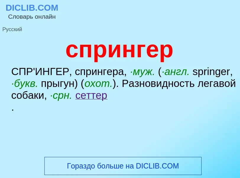 ¿Qué es спрингер? - significado y definición