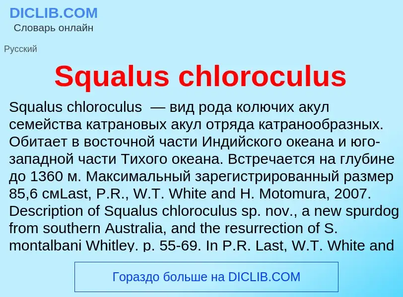 Che cos'è Squalus chloroculus - definizione