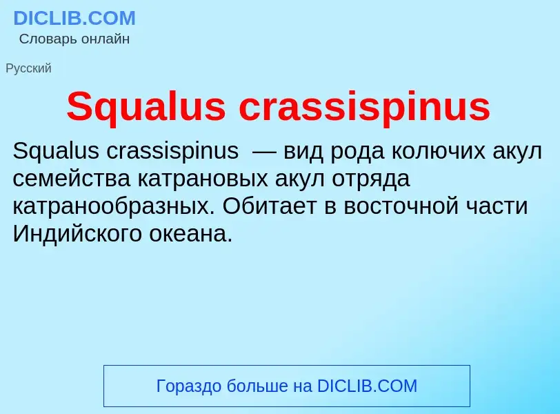 Che cos'è Squalus crassispinus - definizione