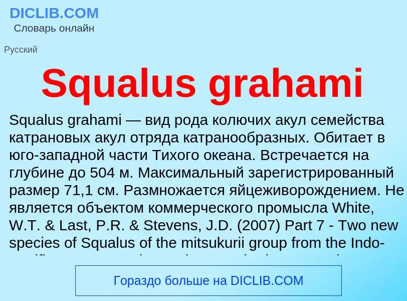 Che cos'è Squalus grahami - definizione