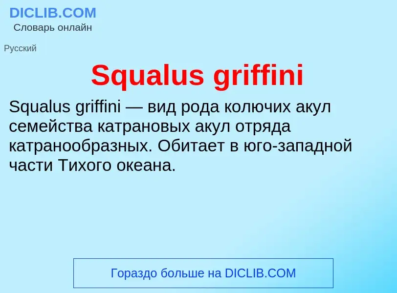 Che cos'è Squalus griffini - definizione