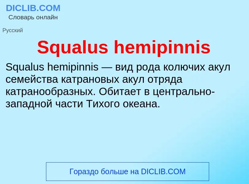 Che cos'è Squalus hemipinnis - definizione