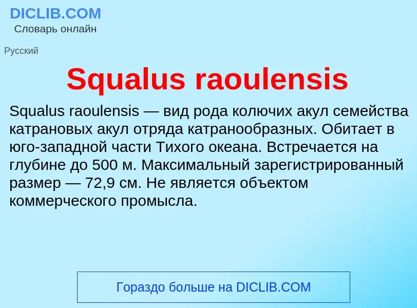 Che cos'è Squalus raoulensis - definizione