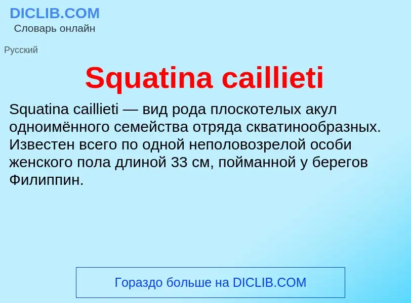 Che cos'è Squatina caillieti - definizione