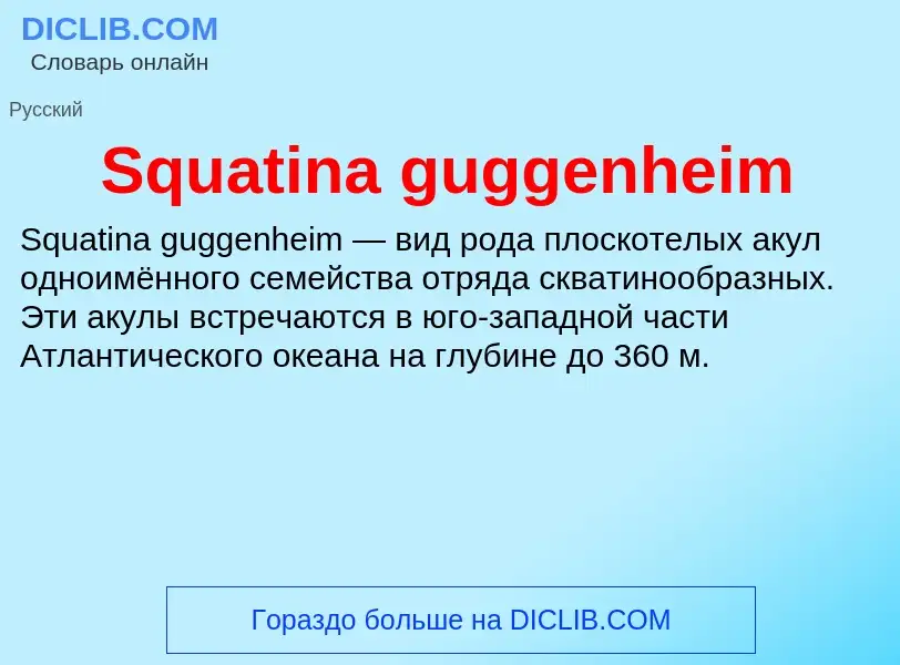 Che cos'è Squatina guggenheim - definizione