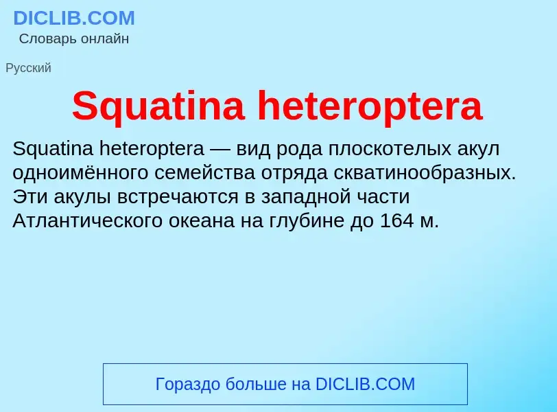 Che cos'è Squatina heteroptera - definizione