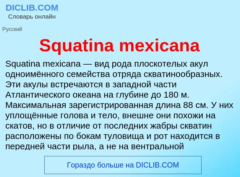 Che cos'è Squatina mexicana - definizione