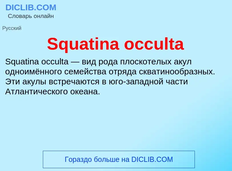 Che cos'è Squatina occulta - definizione