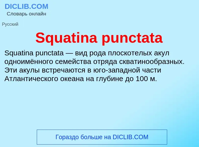 Che cos'è Squatina punctata - definizione