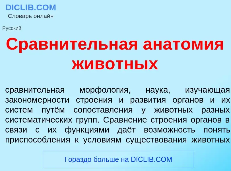 Wat is Сравн<font color="red">и</font>тельная анат<font color="red">о</font>мия жив<font color="red"