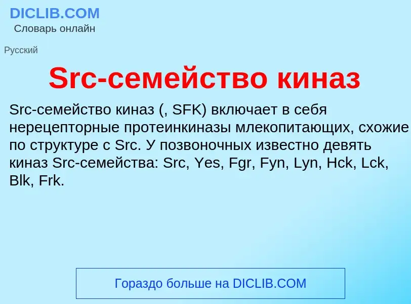 Che cos'è Src-семейство киназ - definizione