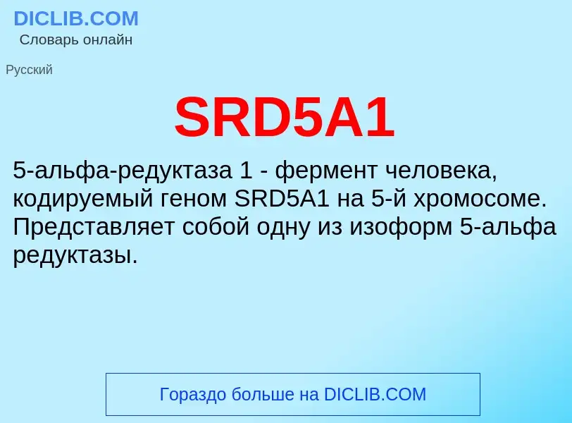 ¿Qué es SRD5A1? - significado y definición