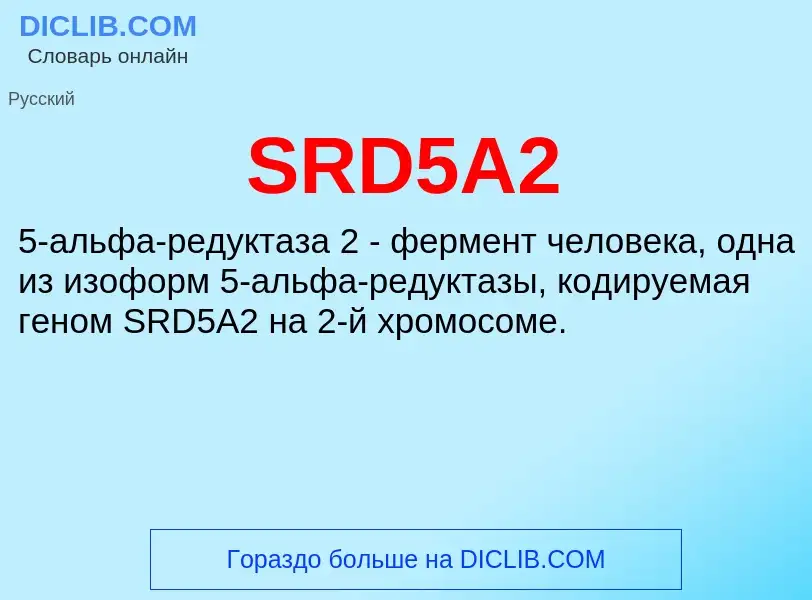 ¿Qué es SRD5A2? - significado y definición