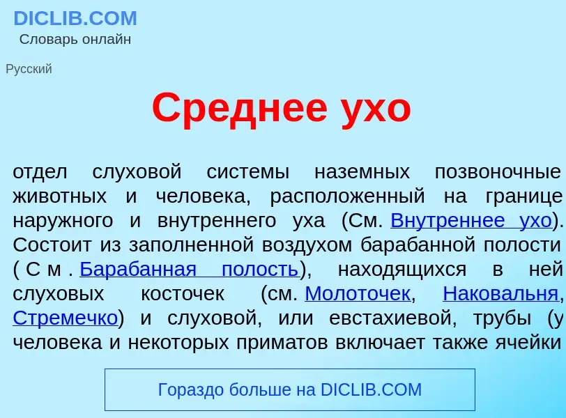 Che cos'è Ср<font color="red">е</font>днее <font color="red">у</font>хо - definizione