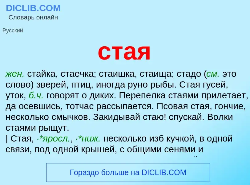 Что такое стая - определение