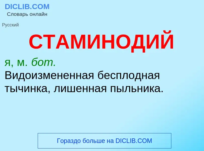 What is СТАМИНОДИЙ - meaning and definition