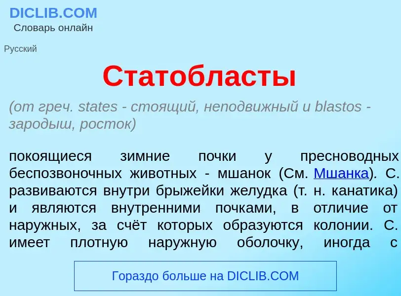 Was ist Статобл<font color="red">а</font>сты - Definition