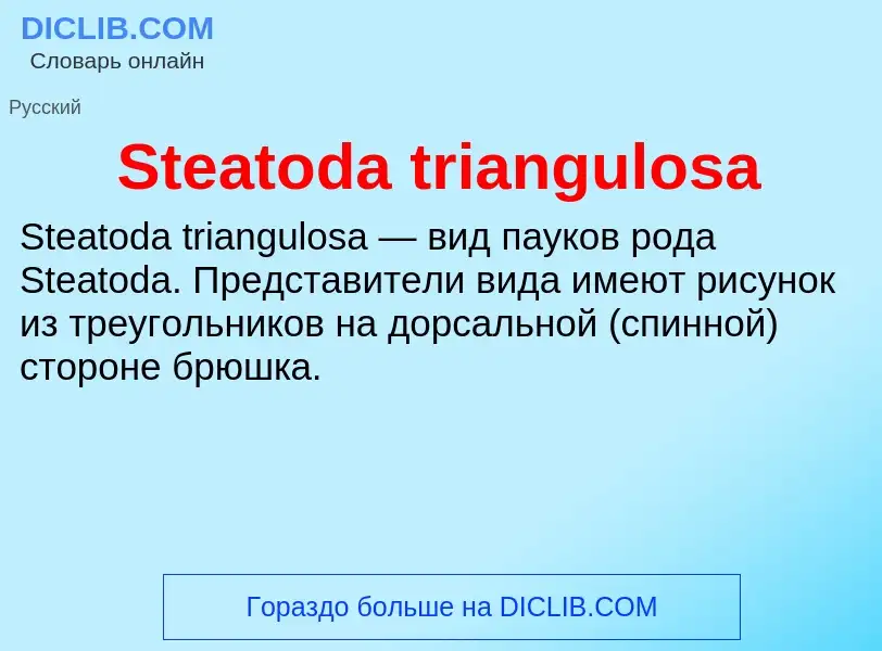 Che cos'è Steatoda triangulosa - definizione